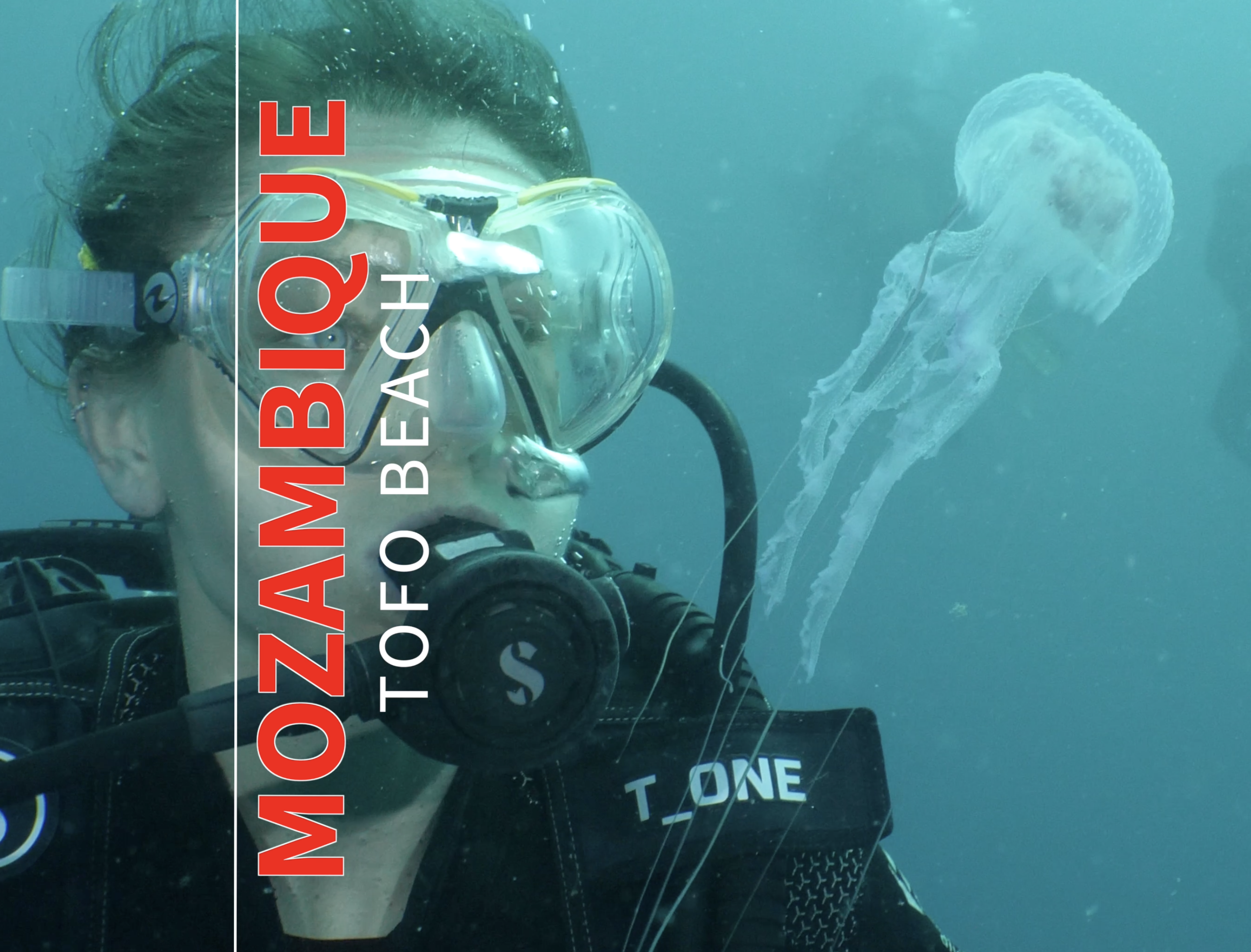 Jellyfish Encounter – Mozambique